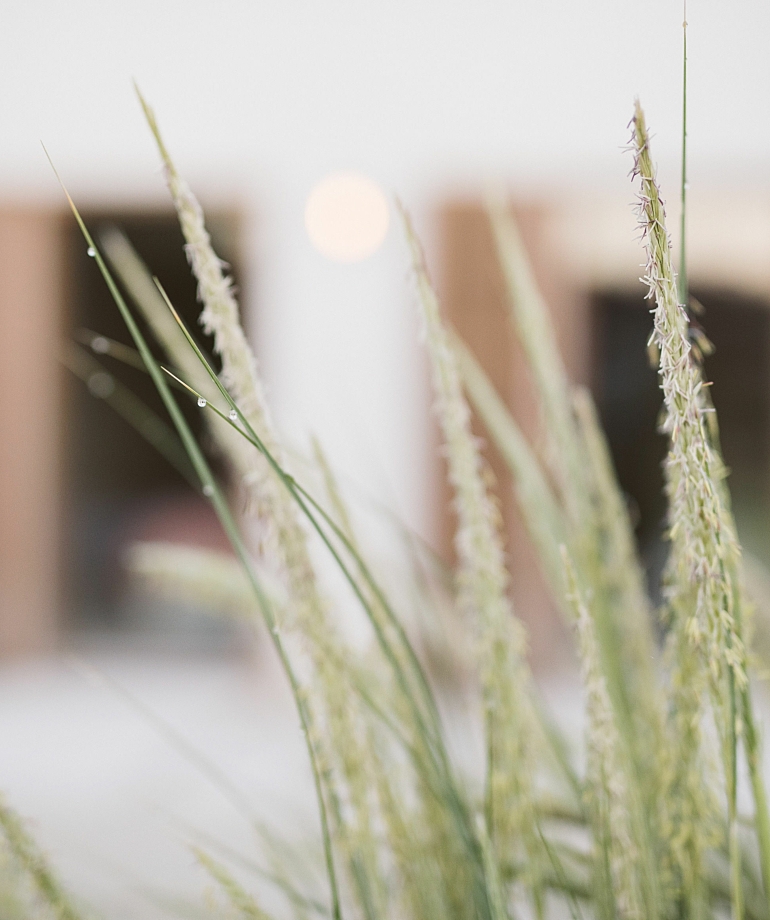 0003 alohafred HD 78 A0108 1